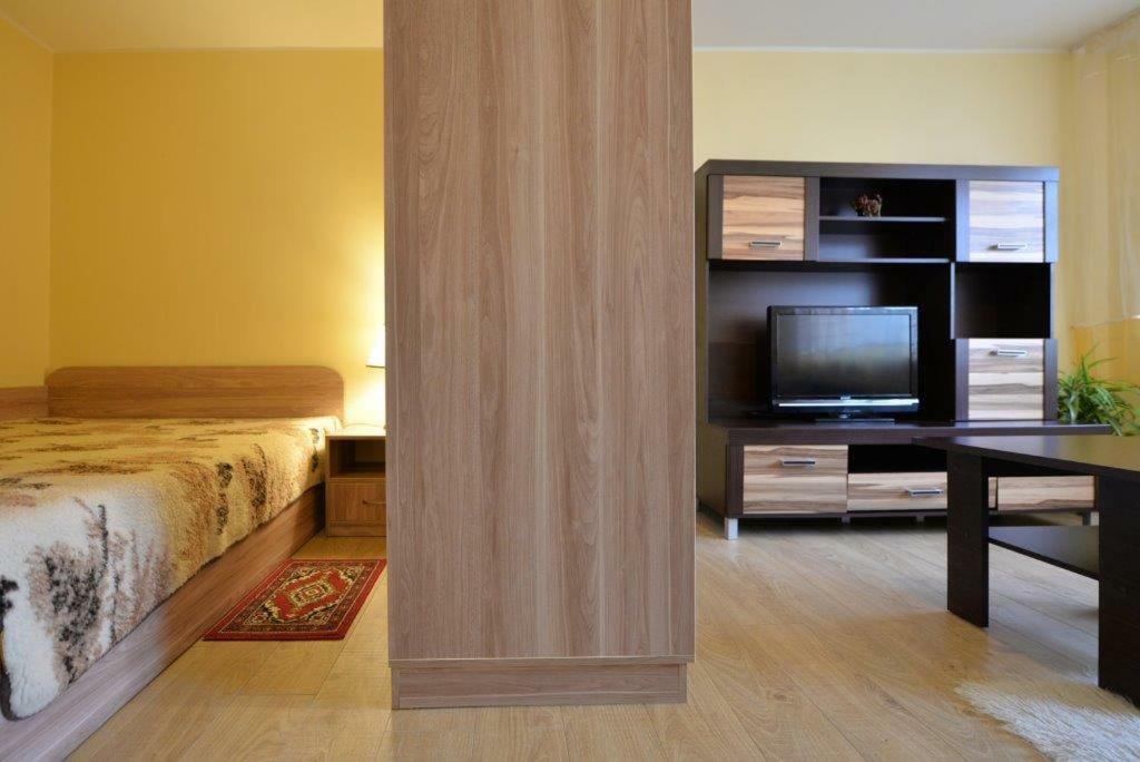 Kristinos Apartment Druskininkai Exterior photo